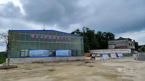 汪崗鎮(zhèn)駿旗農(nóng)業(yè)公司發(fā)展“稻-蝦-鱧”綜合種養(yǎng).JPG
