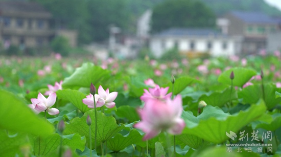 mmexport1663167563947_副本.jpg