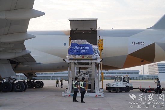 機務(wù)人員卸下貨物。金康 攝.jpeg