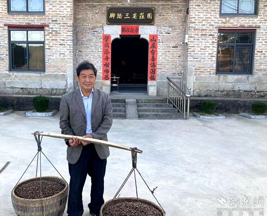 何道關(guān)與自己種的油茶果。黃錚 攝_副本.jpg.jpg